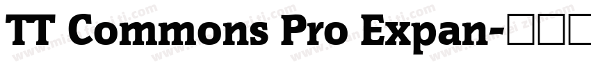 TT Commons Pro Expan字体转换